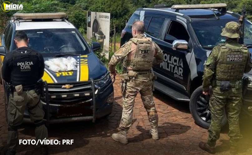 Operação conjunta prende traficante em Francisco Beltrão 