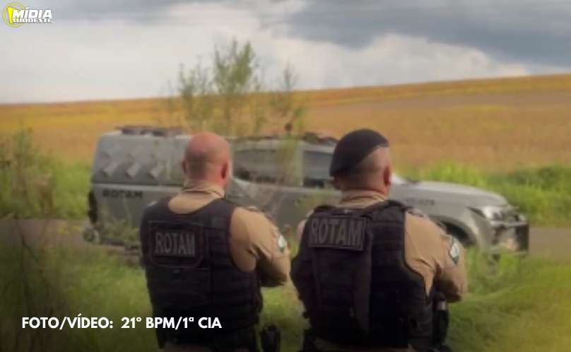 Francisco Beltrão: grande apreensão de cigarros contrabandeados 