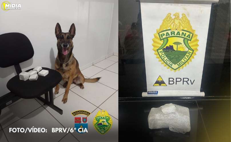 Polícia Rodoviária Estadual realiza duas apreensões de cocaína 