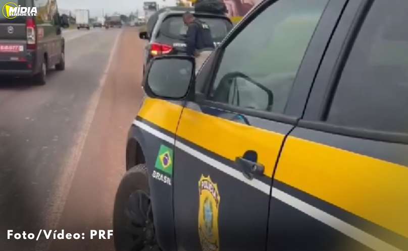 BR-316: PRF e DENARC apreendem 53 kg de skunk e fuzis artesanais 