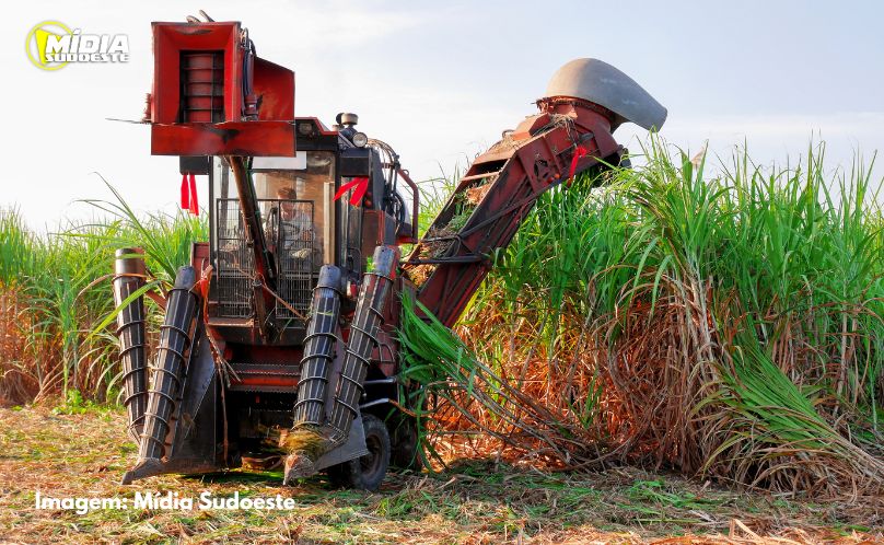 Brasil terá segunda maior safra de cana, segundo estimativa da Conab
