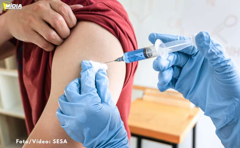 Paraná recebe 80 mil doses de vacinas para proteger crianças contra a Covid-19