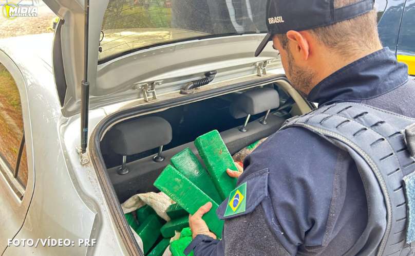 PRF apreende cerca de 100 kg de drogas em abordagem na BR-373 