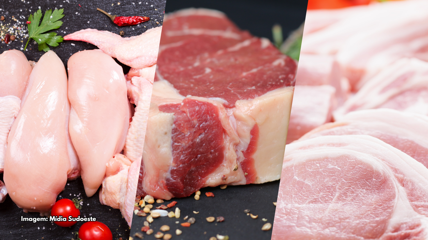 US$ 1,56 bilhão: exportação de carne do Paraná cresce 20,8% nos primeiros meses de 2025