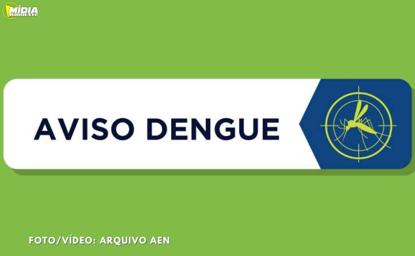 Secretaria da Saúde confirma mais 4.165 casos de dengue e nove óbitos no Paraná