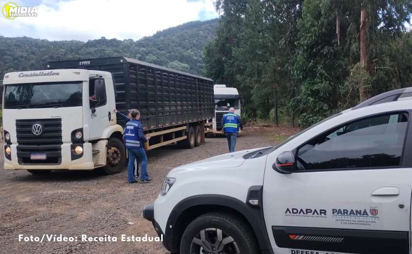 Operação da Receita Estadual, PMPR e Adapar apreende R$ 2,6 milhões em mercadorias