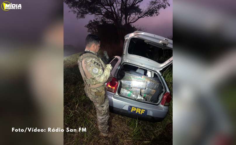 PRF apreende quase 400 kg de maconha após tentativa de fuga 