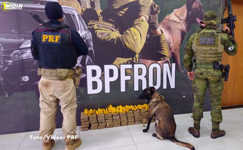 PRF e PMPR apreendem quase 70 quilos de pasta base de cocaína em Umuarama