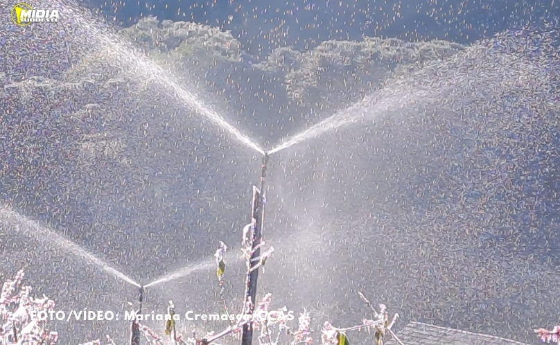 Inverno começa e produtores podem usar a irrigação como aliada para proteger e manter a produtividade no campo