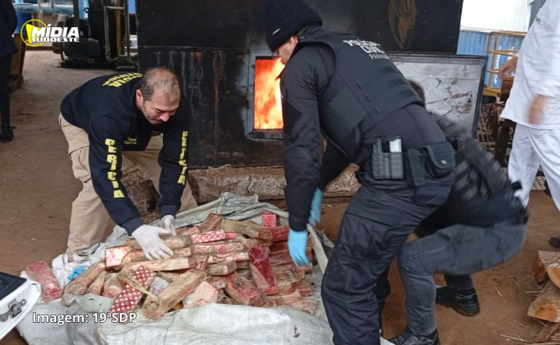 Polícia Civil incinera 785kg de drogas em Francisco Beltrão