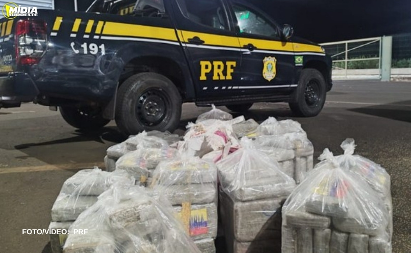 PRF apreende mais de 300 kg de Maconha em carreta, na BR-262 