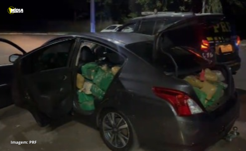 Polícia Rodoviária Federal apreende mais de meia tonelada de maconha e carro roubado 