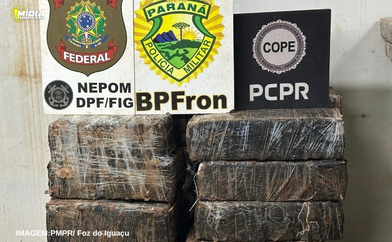 BPFRON, PF e PC apreendem 440 kg de maconha em porto clandestino
