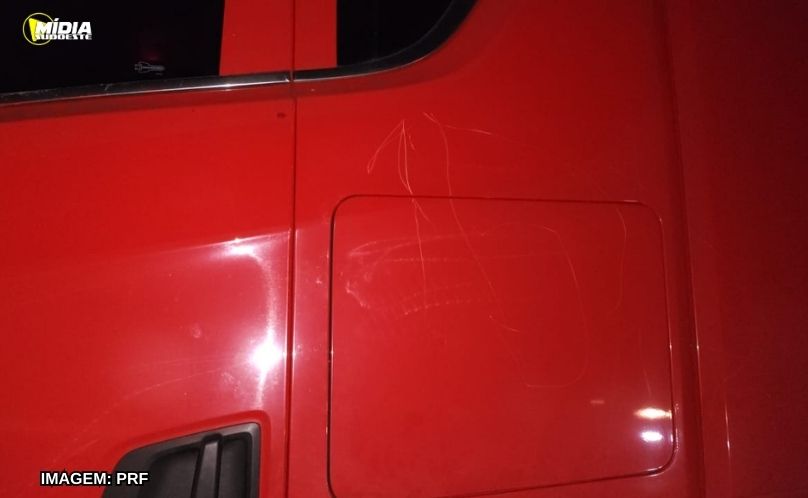 PRF registra ocorrência inusitada na BR-277, em Foz do Iguaçu