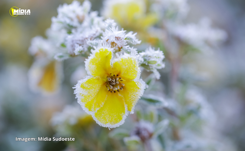 Baixas temperaturas podem causar geadas no Sul e Sudeste, diz Inmet