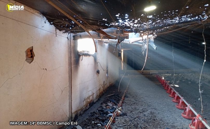 Bombeiros atendem incêndio em aviário no interior de São Bernardino