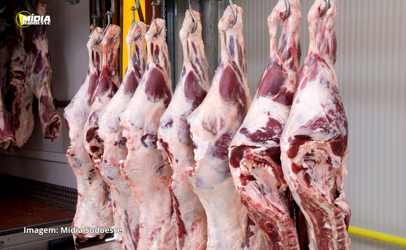 Exportação de carne bovina bate recorde em mês anterior ao tarifaço