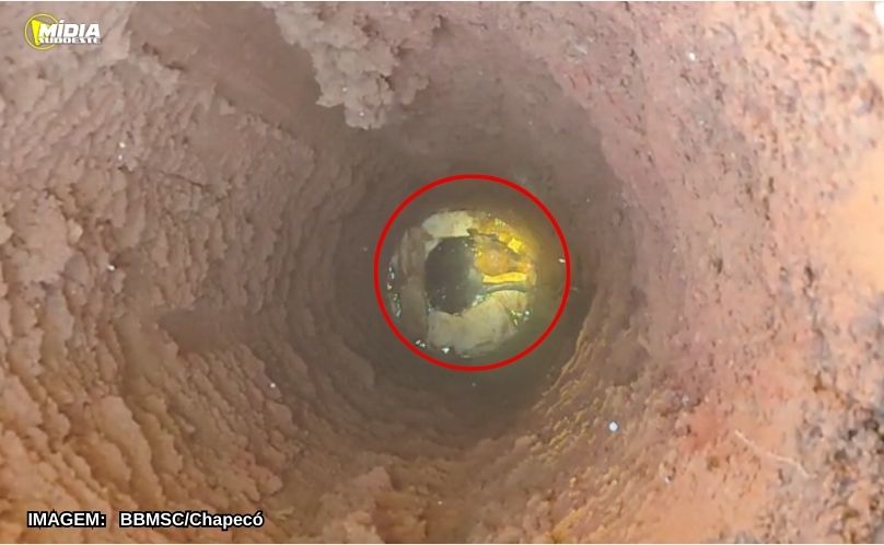 Bombeiros resgatam cachorrinha que caiu em buraco de 5 metros em Chapecó