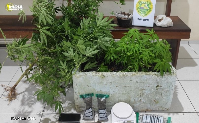 Polícia Militar apreende drogas e prende suspeito em Telêmaco Borba após ocorrência de disparo de arma de fogo