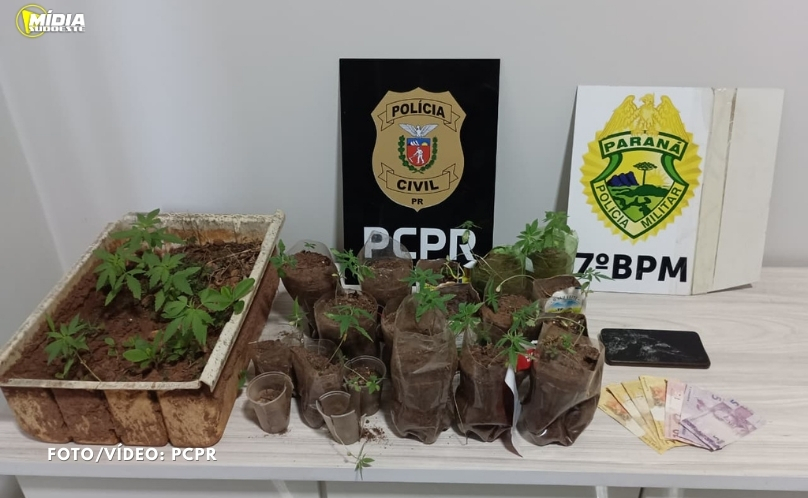 PCPR e PMPR prendem homem em flagrante por tráfico de drogas