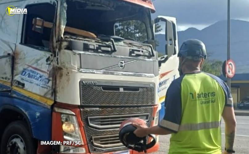Homem dirige carreta sem para-brisa usando capacete na BR-101