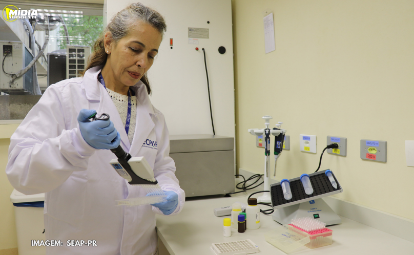 Controle rigoroso garante cardápios nutritivos e saudáveis no Paraná