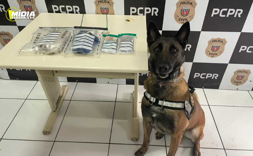 Polícia Civil cumpre 14 ordens judiciais em Marmeleiro