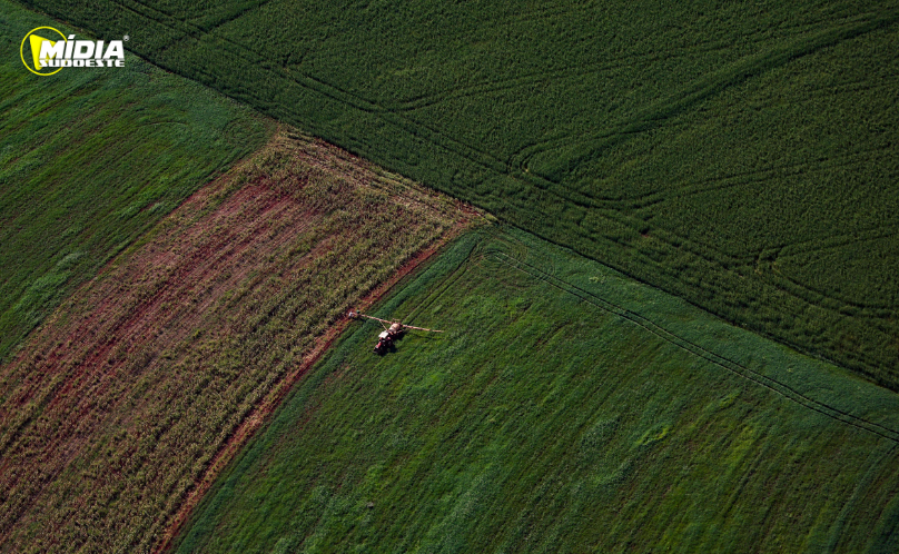 PIB do Paraná cresce 2,9% nos três primeiros trimestres
