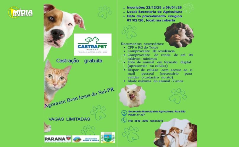 Bom Jesus do Sul abre inscrições para castração gratuita de cães e gatos