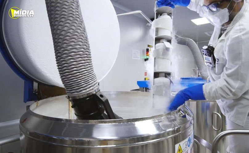 Paraná sediará banco brasileiro de antígenos e vacinas contra febre aftosa