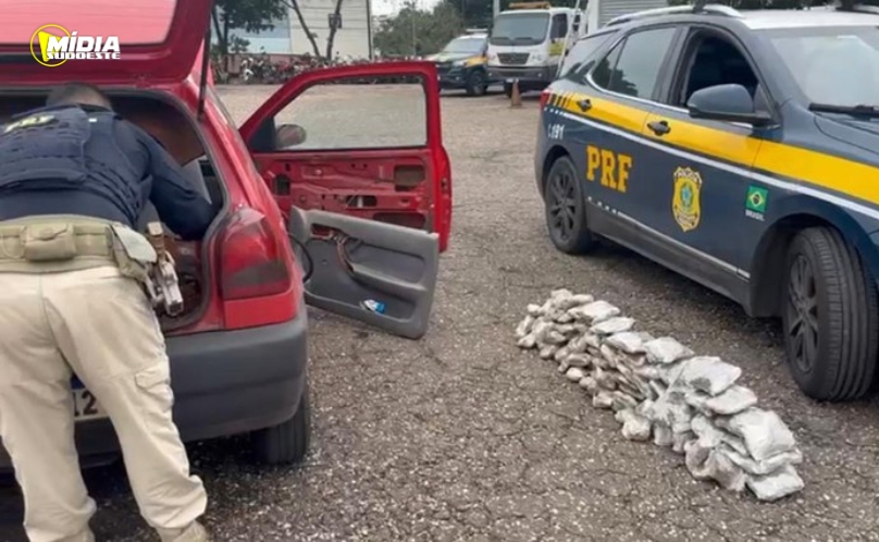 PRF apreende cerca de 20 kg de skank na BR-381