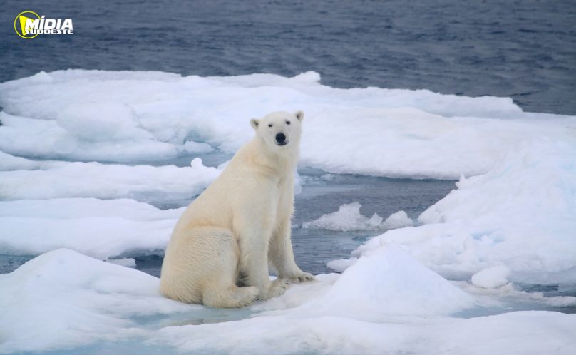 Aquecimento recorde marca o Ártico em 2025