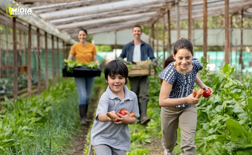 Agricultura familiar abastece o Natal Sem Fome