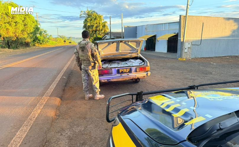 PRF apreende 200 quilos de agrotóxicos contrabandeados na PR-180