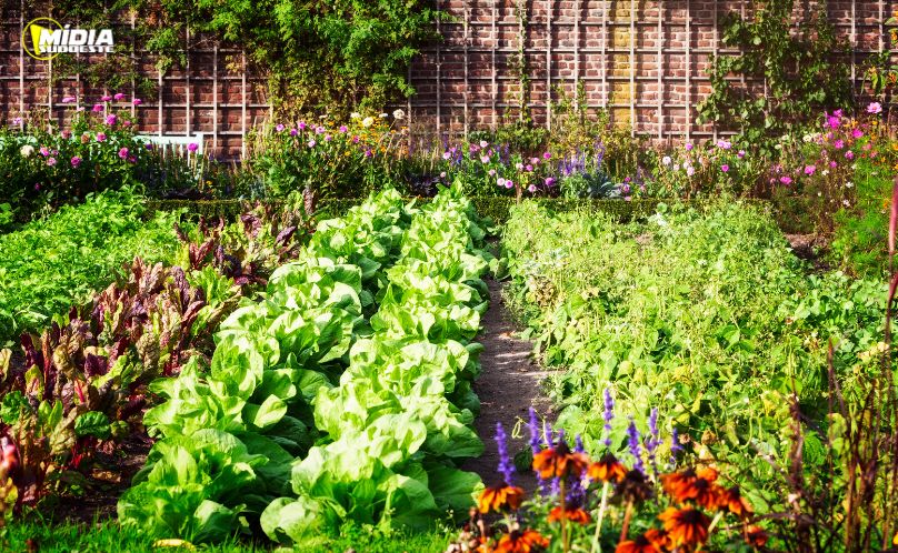 Censo inédito fortalece agricultura orgânica no Paraná