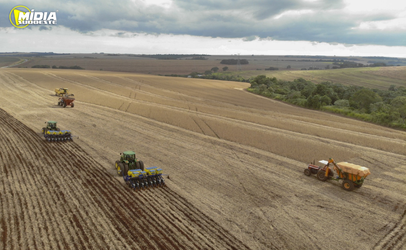 Safra 2026 do Paraná tem bom ritmo em soja, milho e feijão