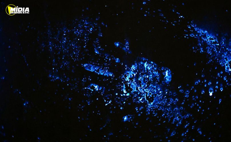 Perícia do Paraná emprega luminol na elucidação de crimes