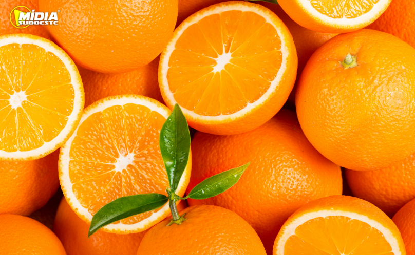 Hortigranjeiros do Paraná têm preços mais baixos no início de 2026