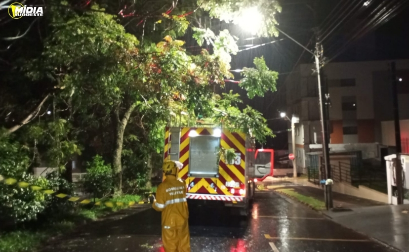 Temporal com ventos fortes causa estragos e mobiliza Corpo de Bombeiros