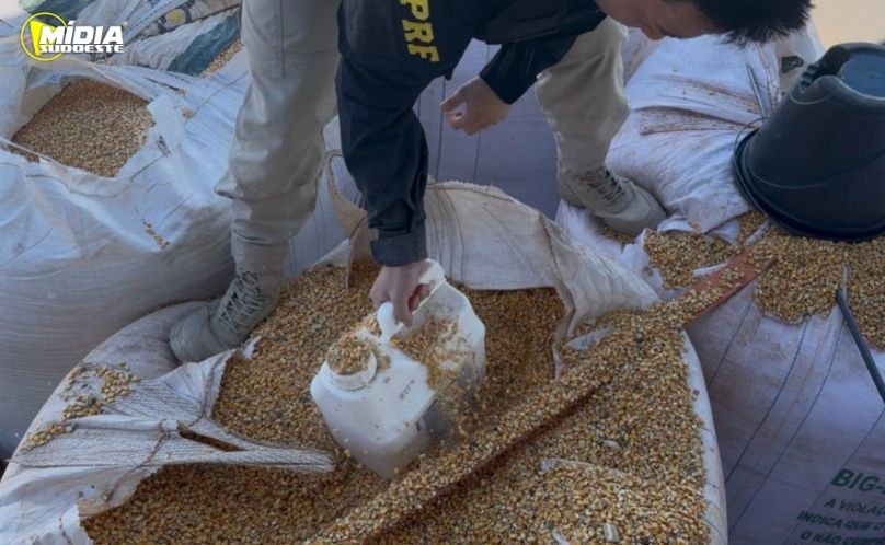 PRF apreende agrotóxicos ilegais e 42 kg de cocaína na fronteira do Paraná