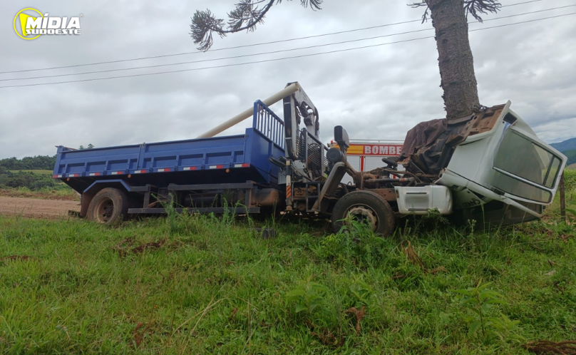 Motorista morre após caminhão sair da pista e atingir árvore