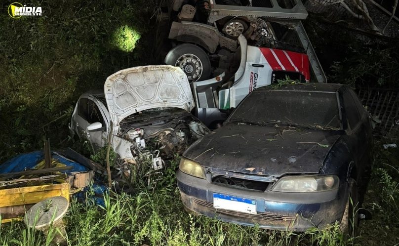 Saída de pista de caminhão-cegonha deixa motorista ferido