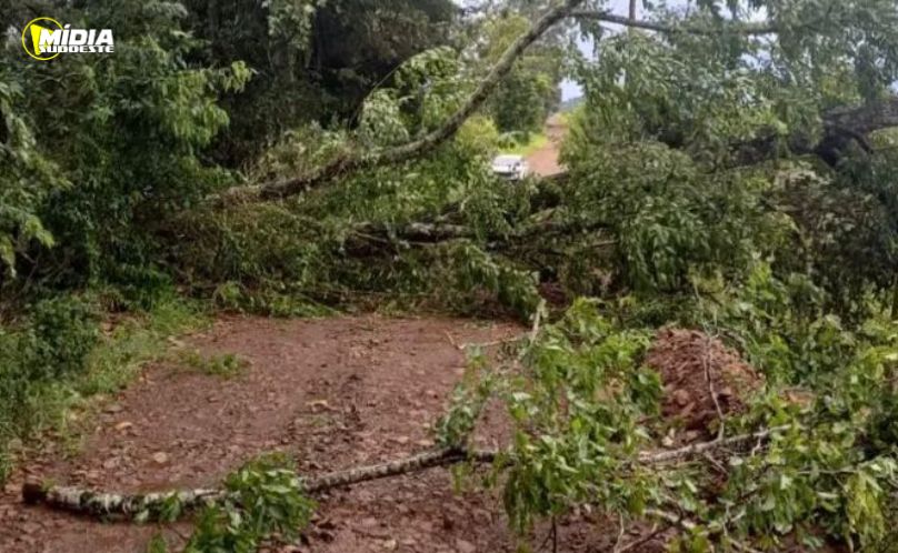 Temporal causa estragos e mobiliza equipes em Riqueza/SC