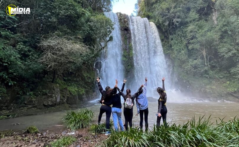 Contato com a natureza reduz ansiedade e melhora saúde mental