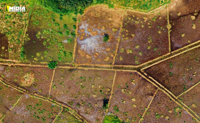 TJPR encerra conflito fundiário histórico