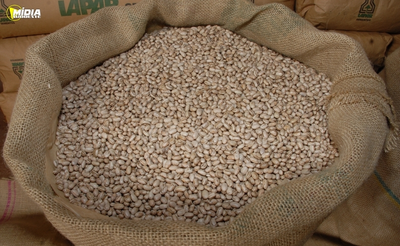 Paraná já colheu 72% da safra de feijão das águas