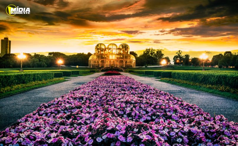 Mulheres vítimas de violência recebem auxílio no Paraná