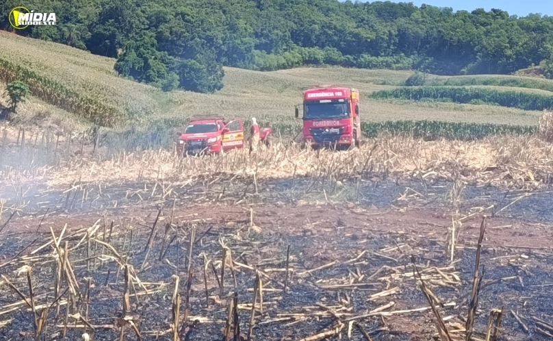 Incêndio em colheitadeira atinge lavoura de milho e mobiliza Corpo de Bombeiros