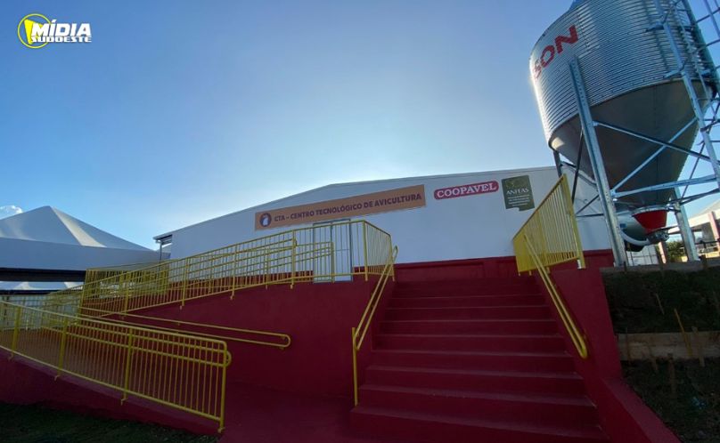 Avicultura terá programação diversificada no Show Rural 