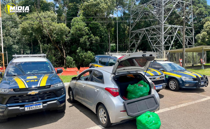 PRF apreende cerca de 28 quilos de skunk durante fiscalização na BR-277